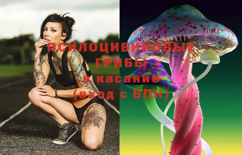 Псилоцибиновые грибы Magic Shrooms  Красноперекопск 